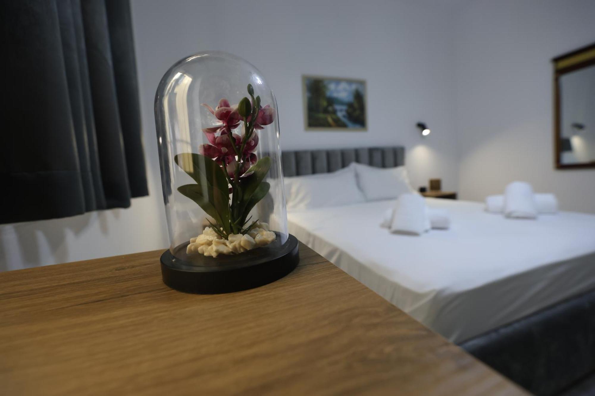 Vila Alizee Hotel تيرانا المظهر الخارجي الصورة